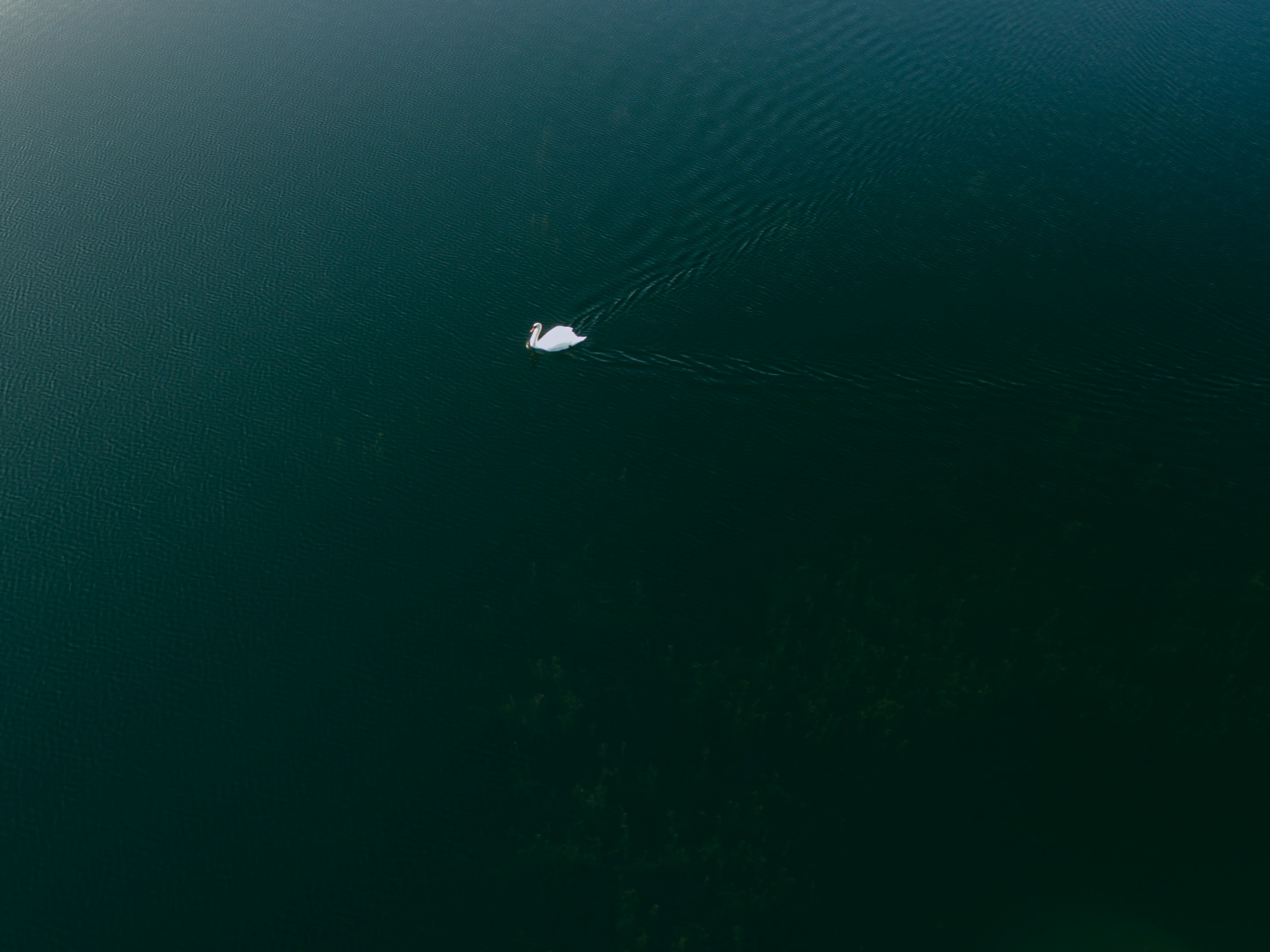 top view photography of boy of water